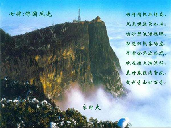 芭比娃娃的服装